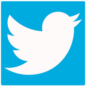 logo-twitter